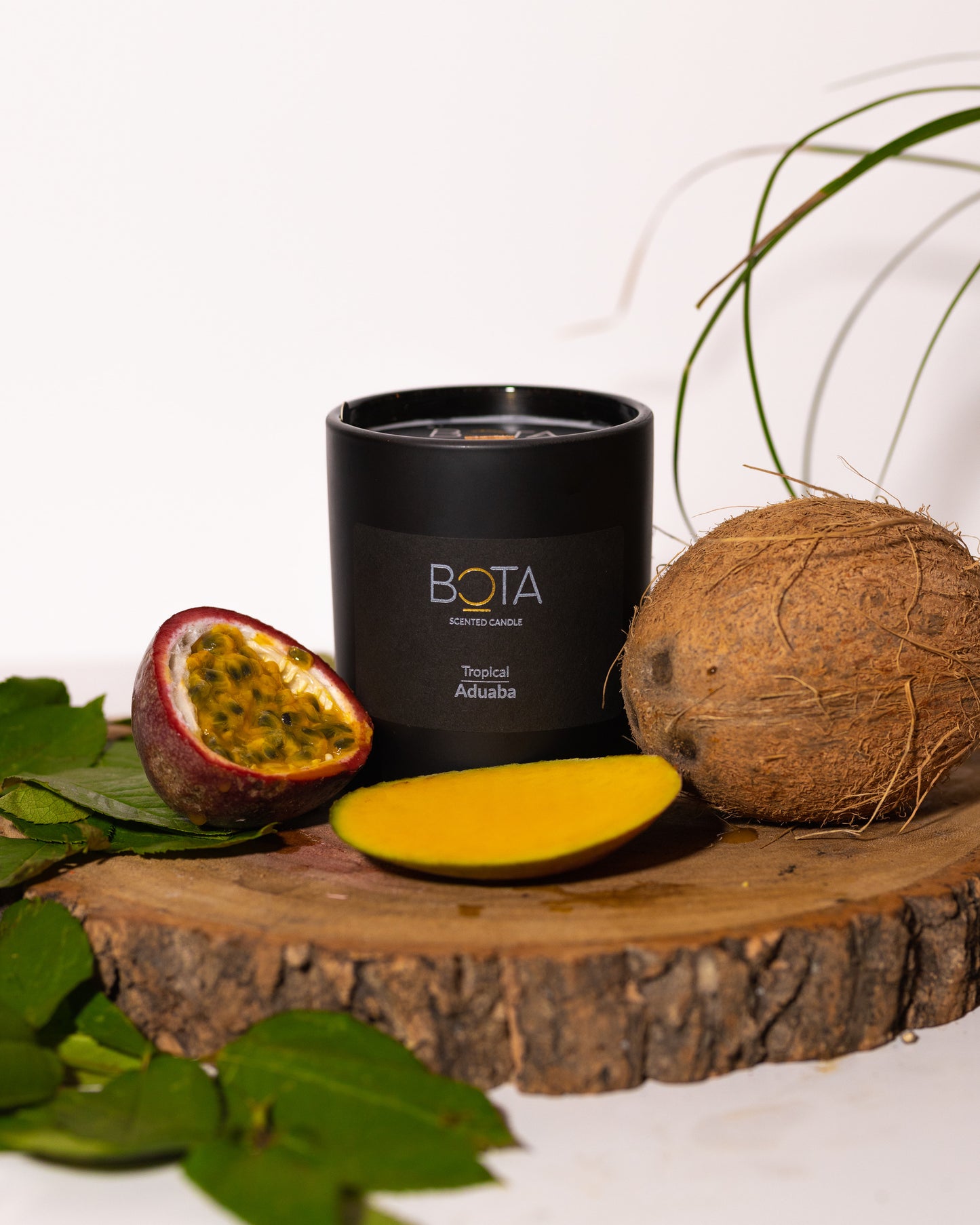 Seasons of Africa Collection: Scented Candles