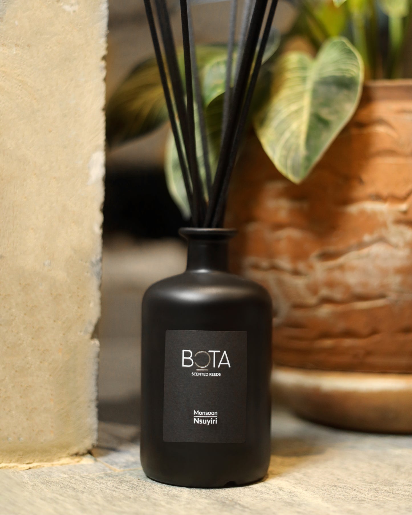 Seasons of Africa Collection: Scented Reeds