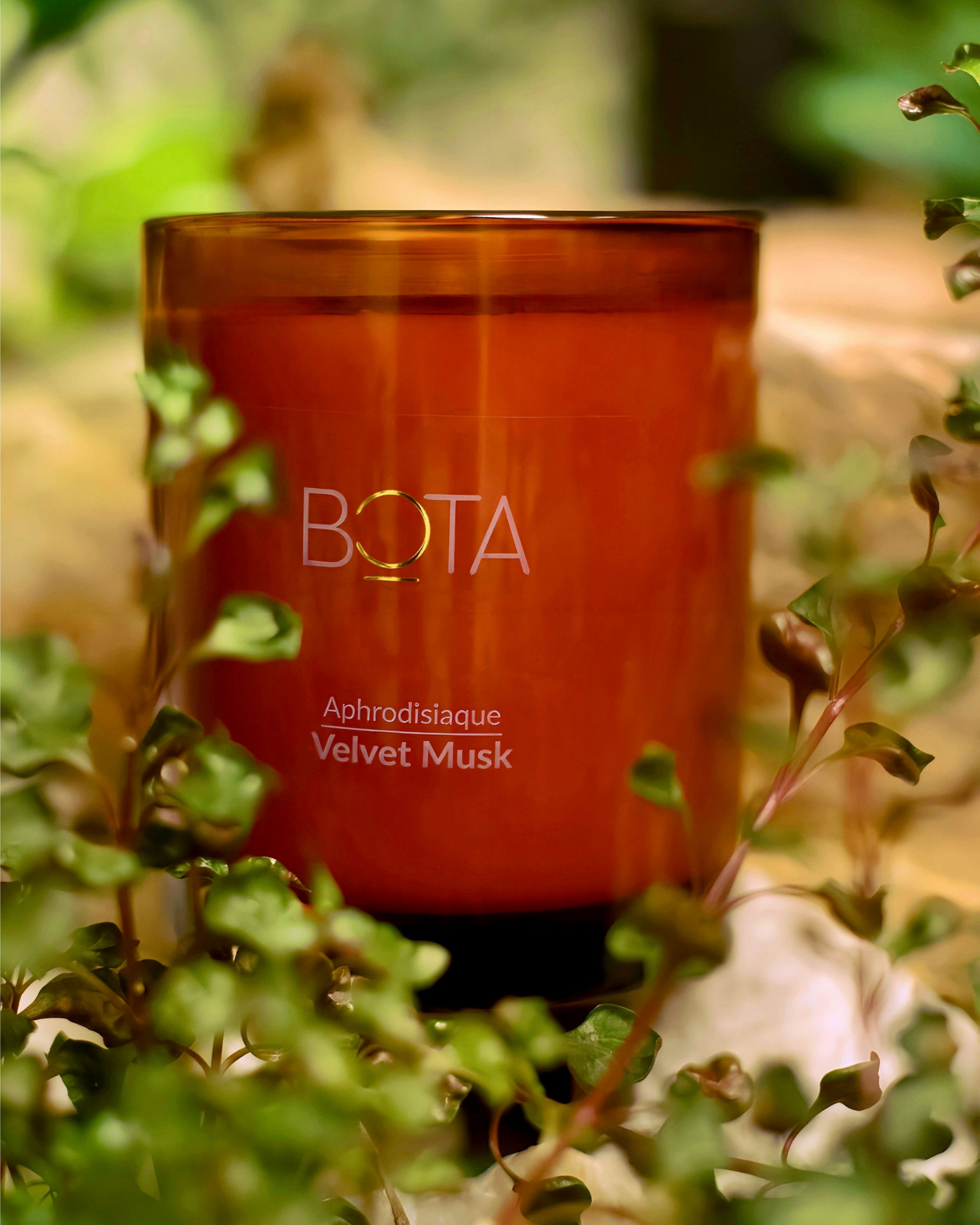 Aphrodisiaque collection: SCENTED Candle