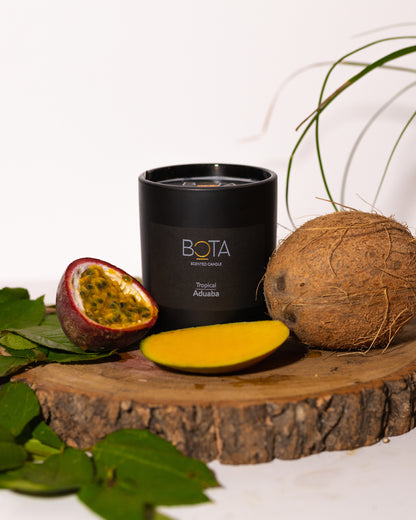 Seasons of Africa Collection: Scented Candles