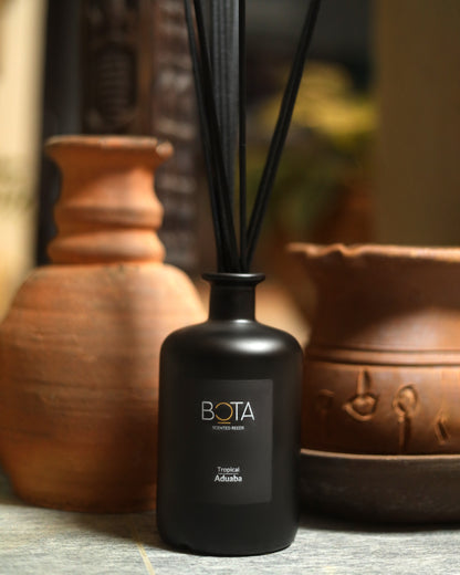 Seasons of Africa Collection: Scented Reeds