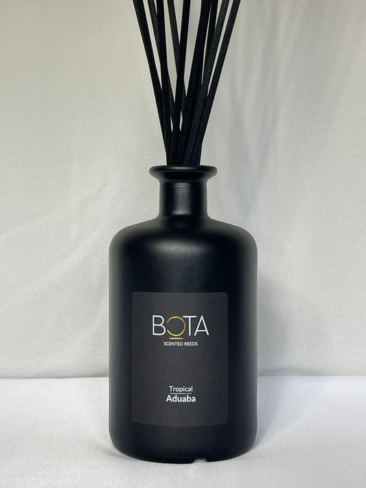 Seasons of Africa Collection: Scented Reeds